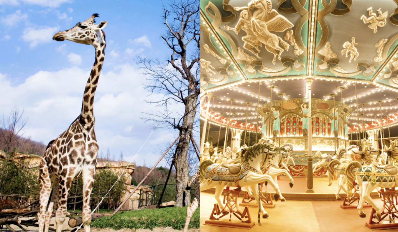 에버랜드 큐패스