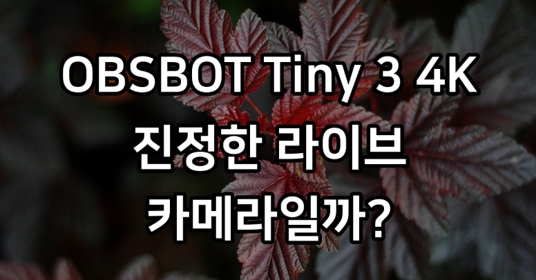 4K 카메라