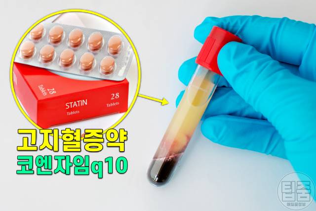 고지혈증약 오래 먹으면 복용 부작용 코엔자임q10 부족