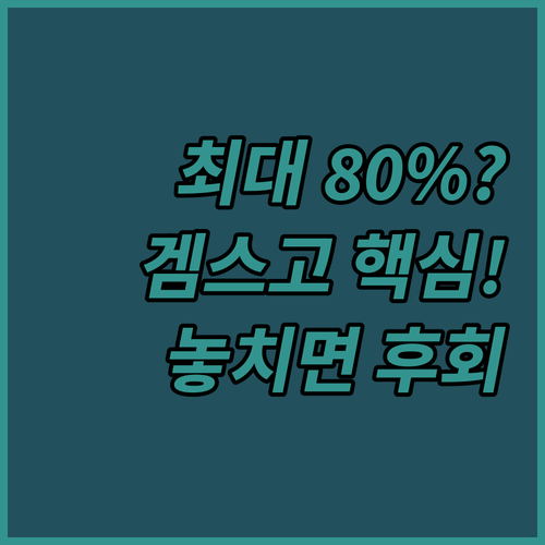 겜스고로 노션 구독료 최대 80% 절..