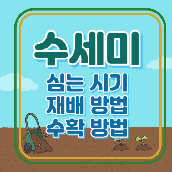 수세미 심는 시기