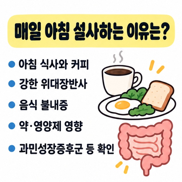아침 식사와 커피, 위대장반사, 음식과 약물 요인을 정리한 그림