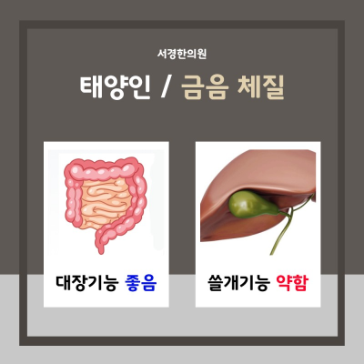 8체질의학 금음체질