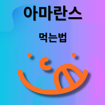 먹는법