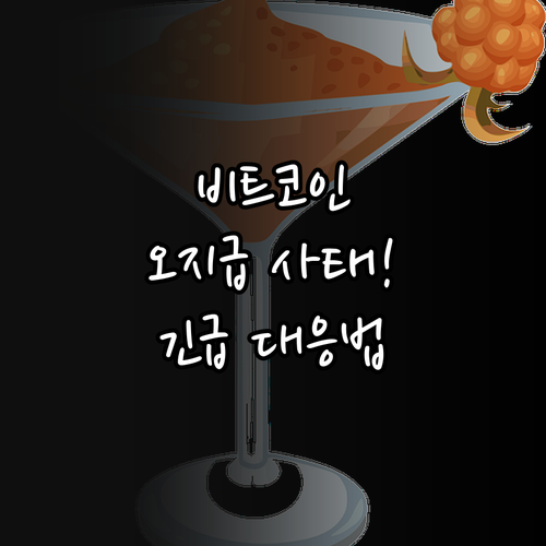 비트코인 오지급 사태의 기술적 원인 ..