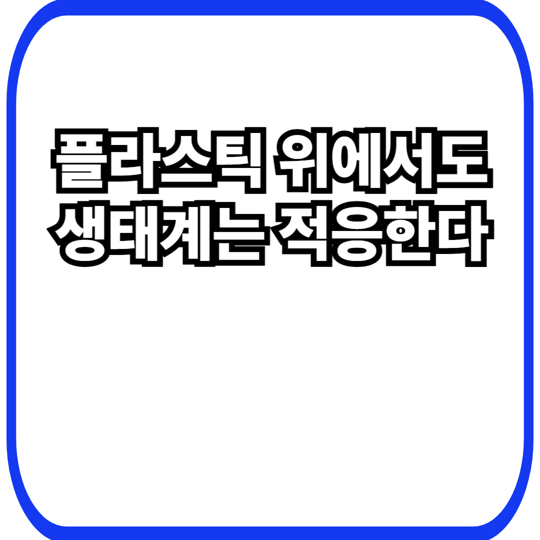 재활용 분류함&middot;포장재 표면 미생물과 인공 재질 위에서 적응한 생태계