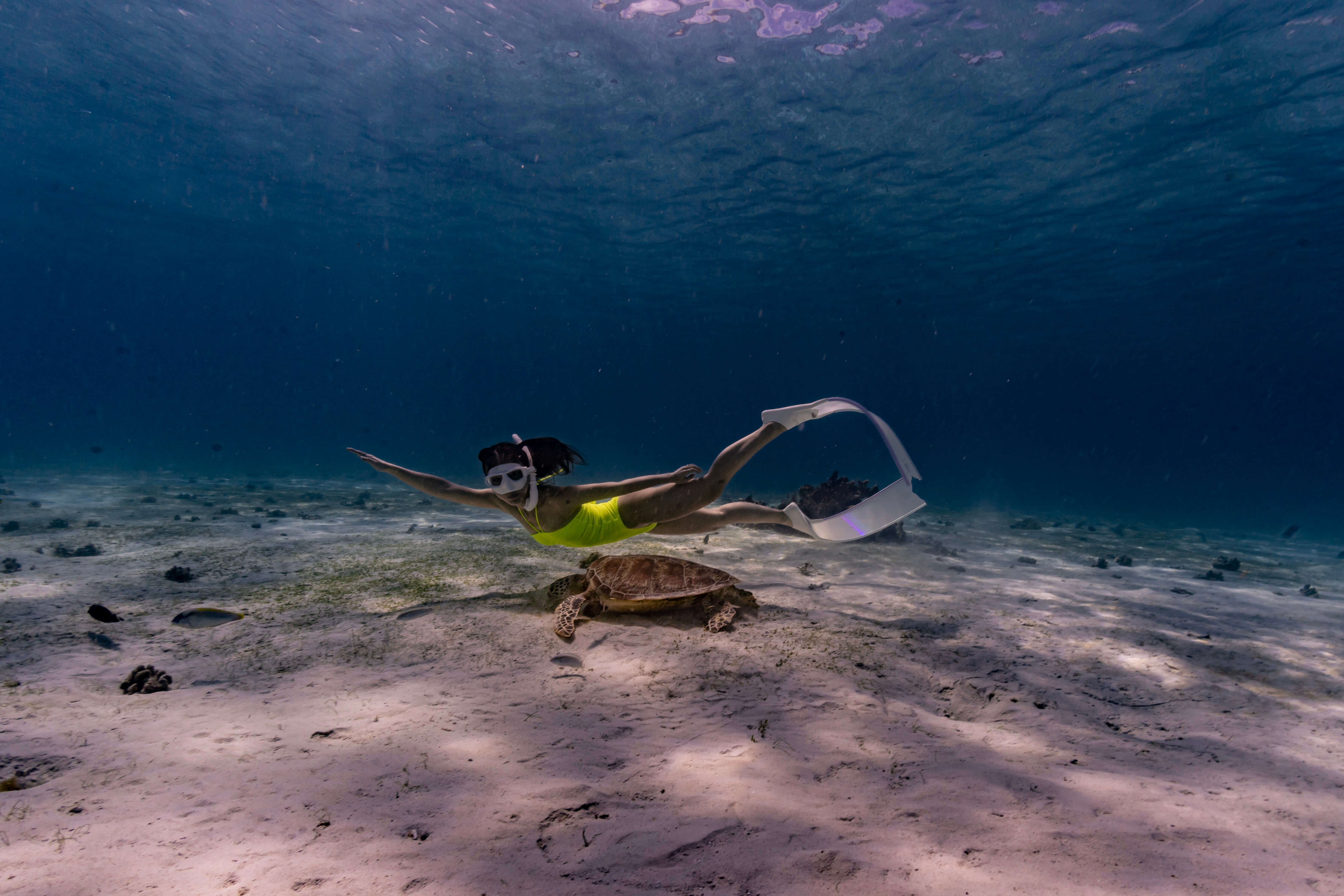 그랑블루 발리카삭