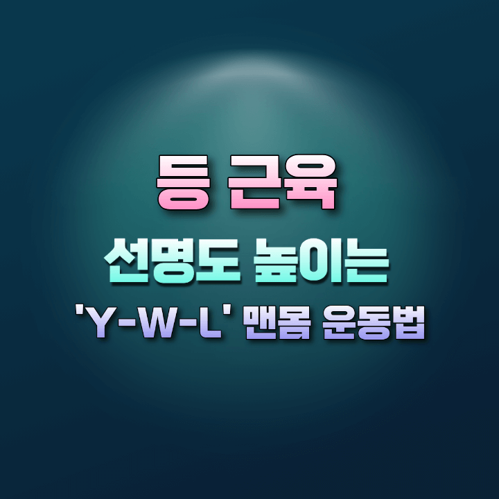 등근육선명도높이는맨몸운동법