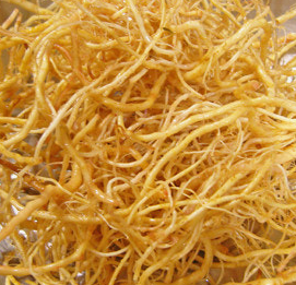 씀바귀 효능과 부작용 먹는법 고르는법