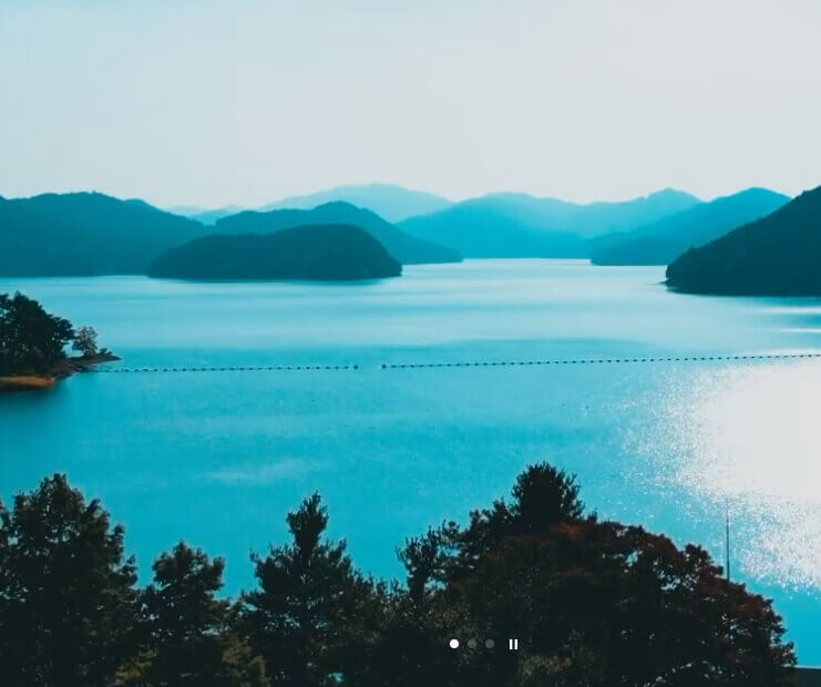 2024 봄꽃축제 가볼 만한 곳 추천