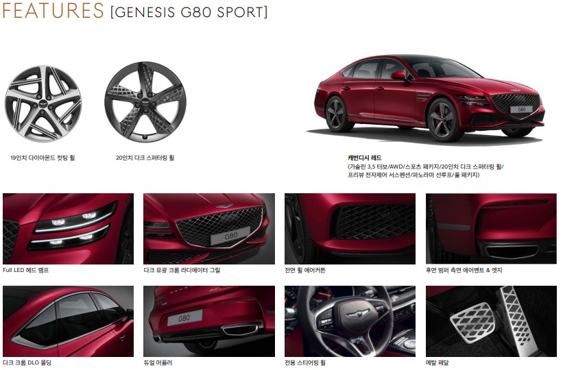 g80-스포츠