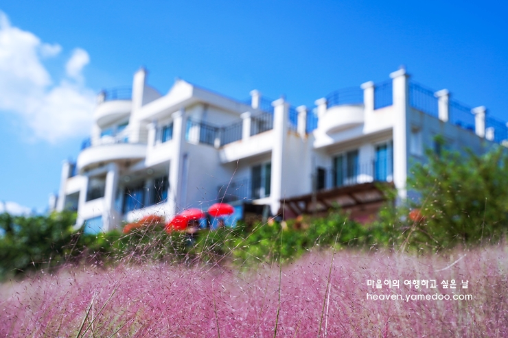 제주도 가볼만한곳 10곳