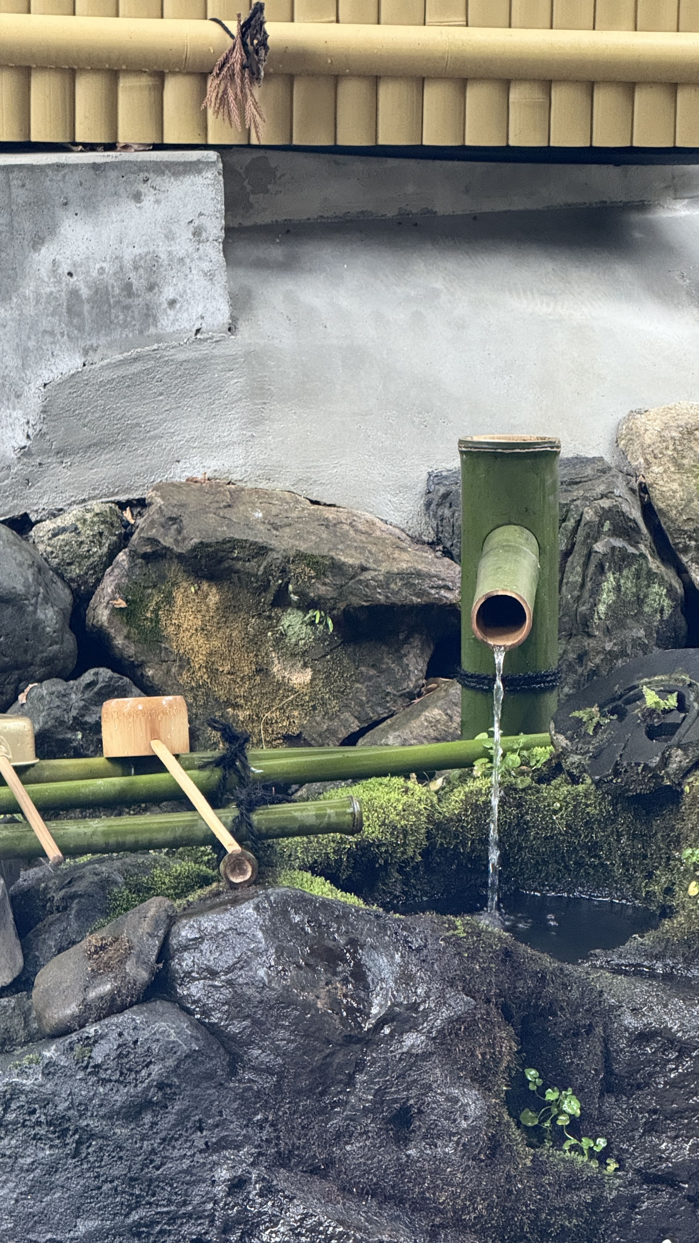 교토-꼭-가봐야-할-곳-교토-은각사-긴카쿠지- 철학의-길-조용한-산책-코스-추천