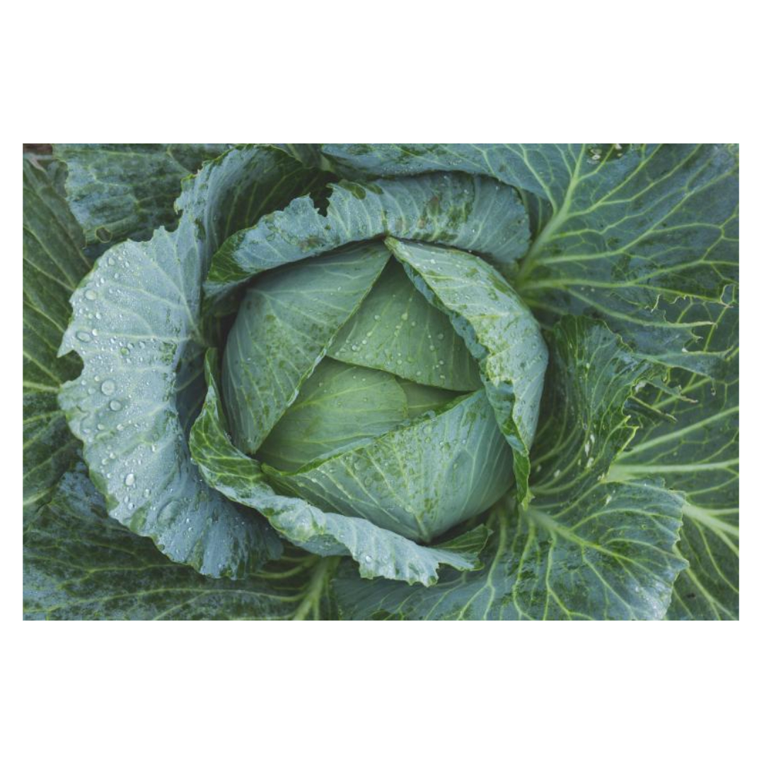 글루타치온과 관련된 사진입니다.