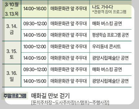 전남 광양 매화 축제