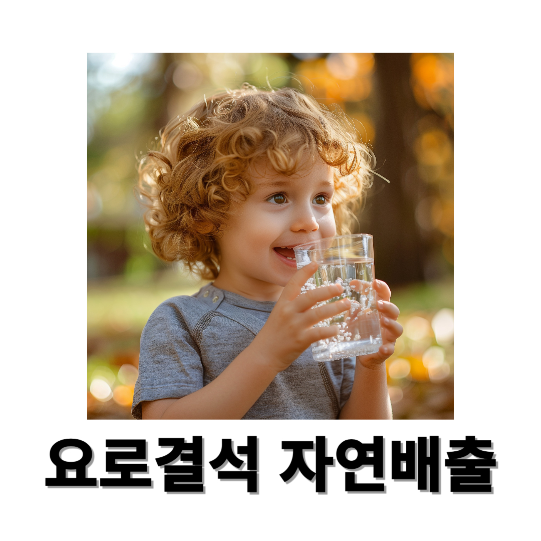 요로결석과 관련된 사진입니다.
