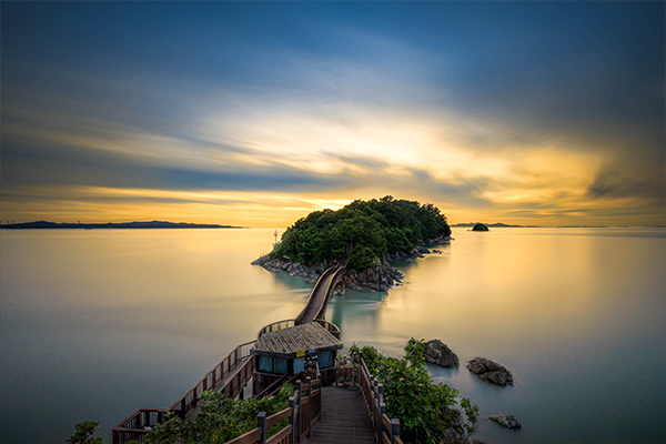 안산 대부 해솔길 사진