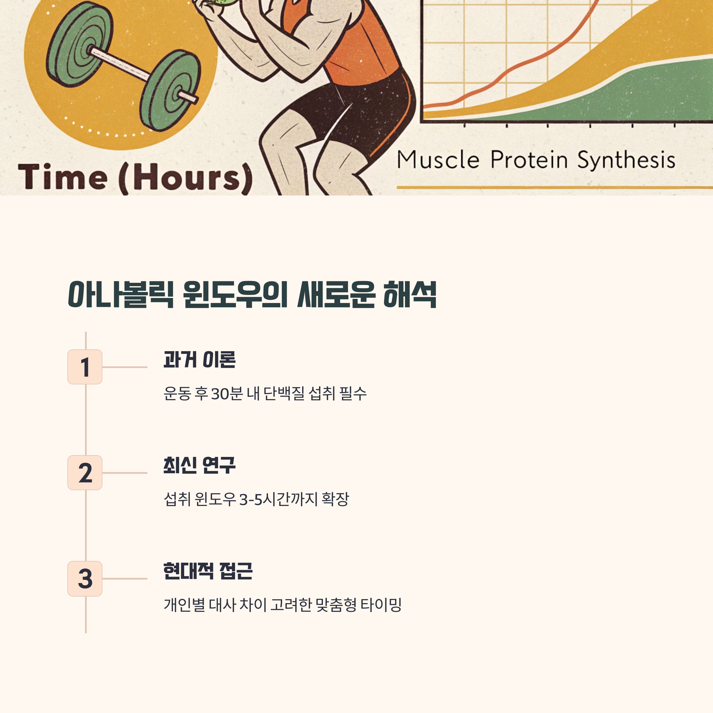 아나볼릭 윈도우 개념의 진화