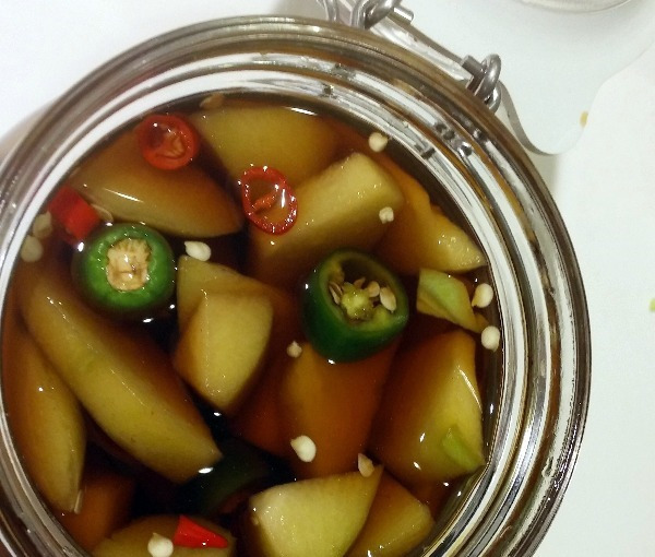 홈메이드 차요테 장아찌