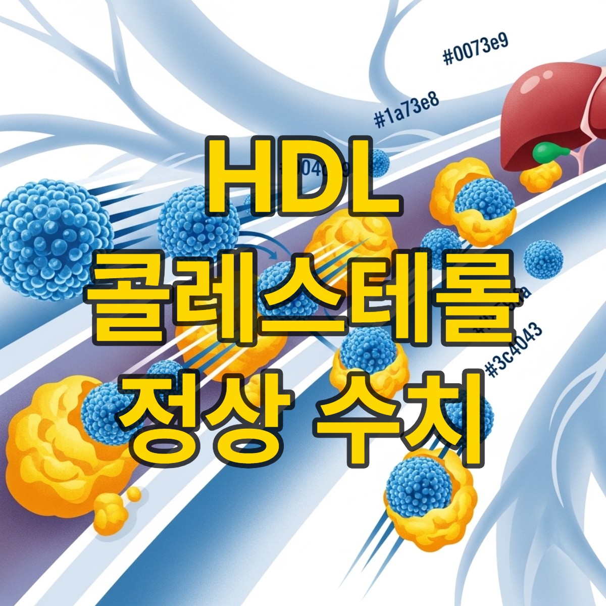 hdl콜레스테롤 정상수치