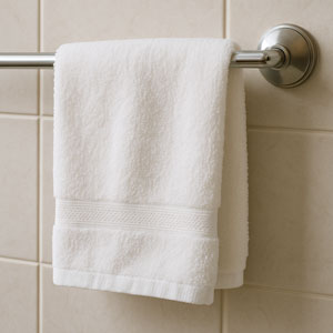 헤르페스 1형 전염 - 수건 공동 사용