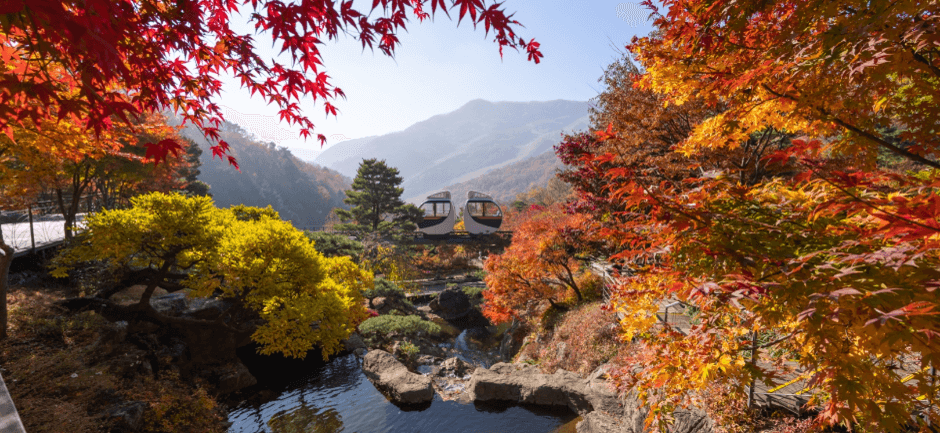 화담숲 가을 단풍 축제
