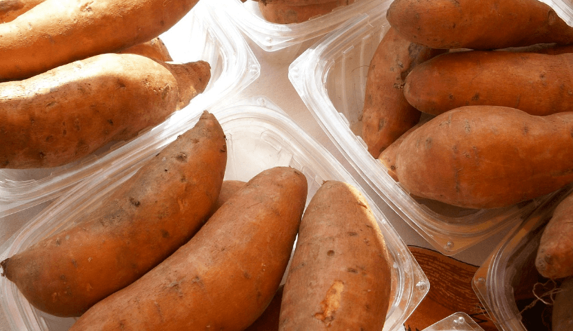 고구마 사진 - 41