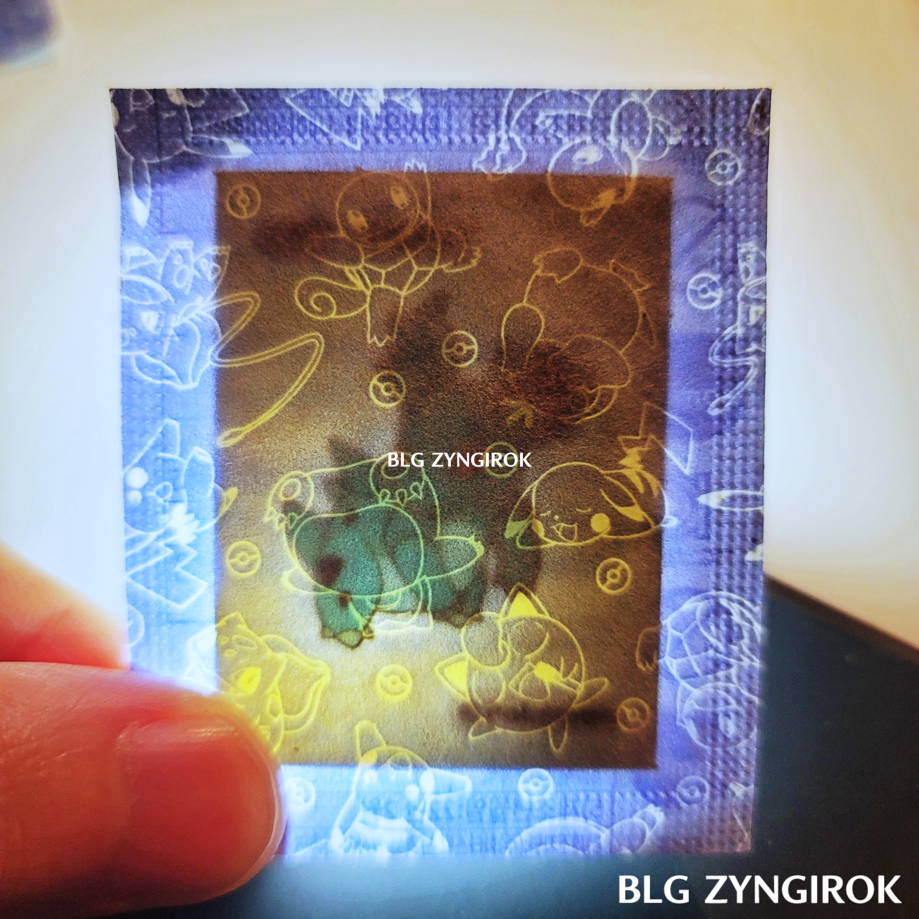 띠부띠부씰-니드런을-들고있다.