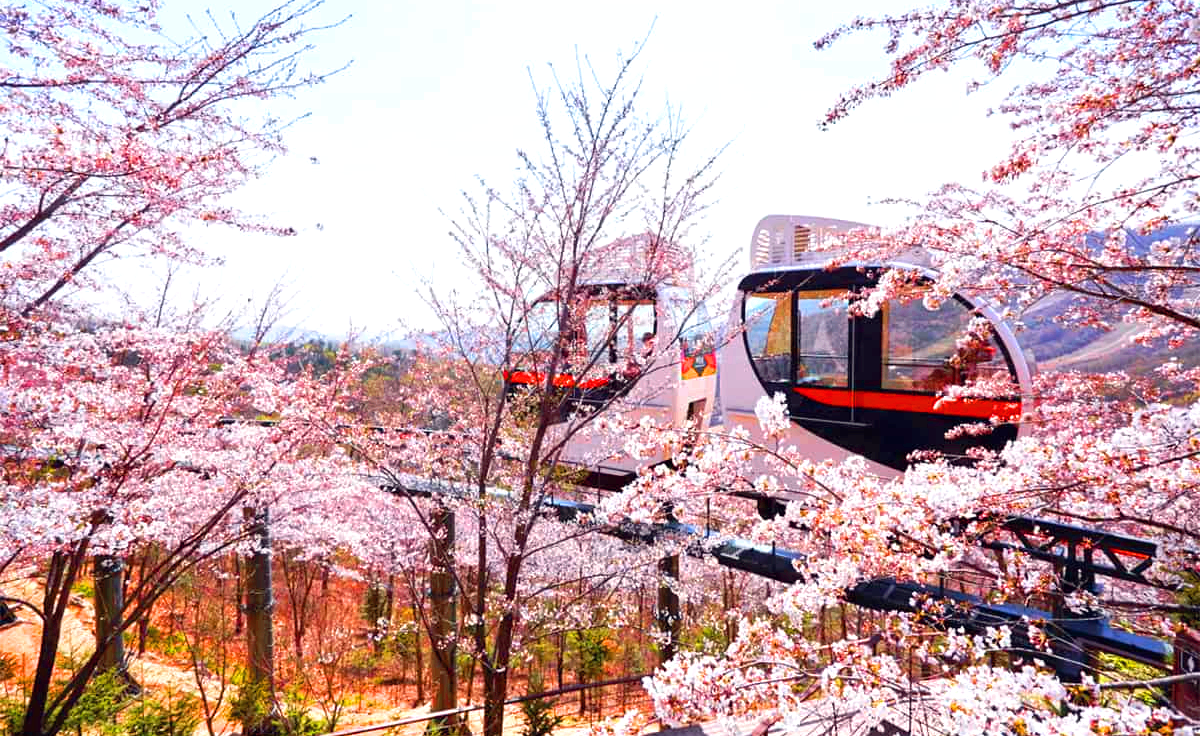 화담숲