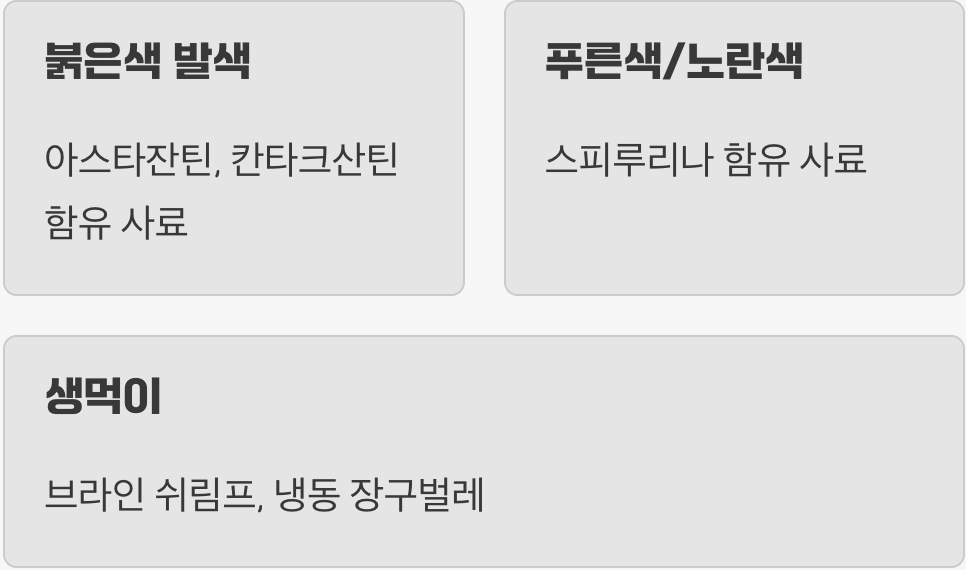 먹는 것이 곧 색깔이 된다, 영양의 마법