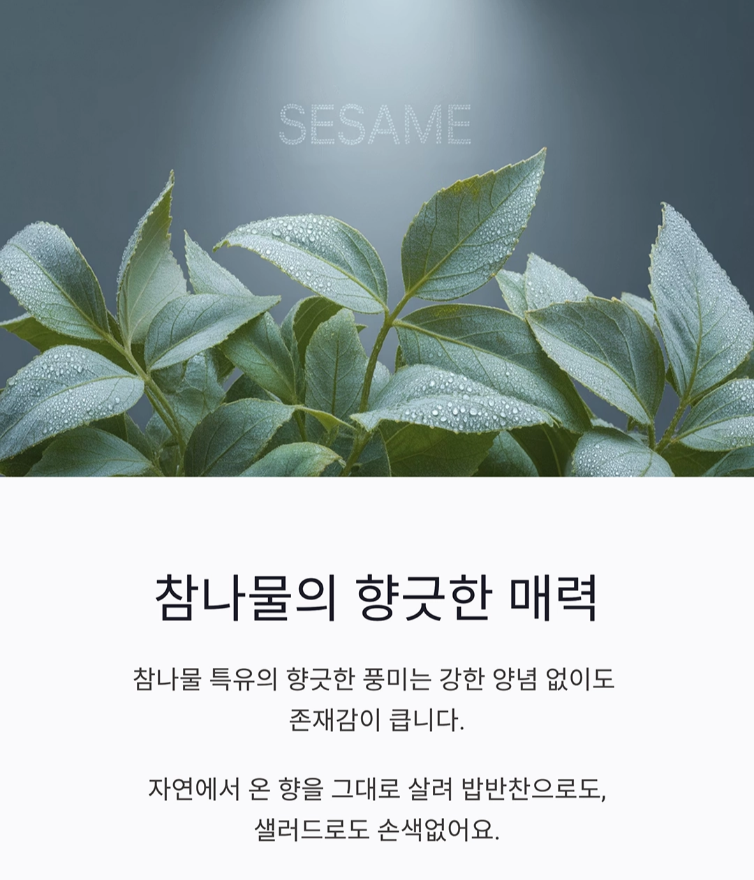 참나물 오이 무침으로 상큼한 반찬 만들기