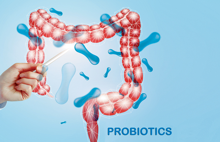 장내 유산균 그림