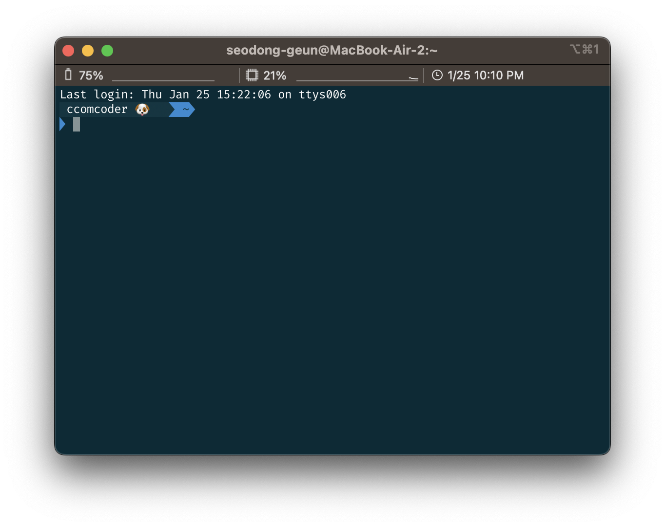 iTerm2에서 터미널을 실행한 화면