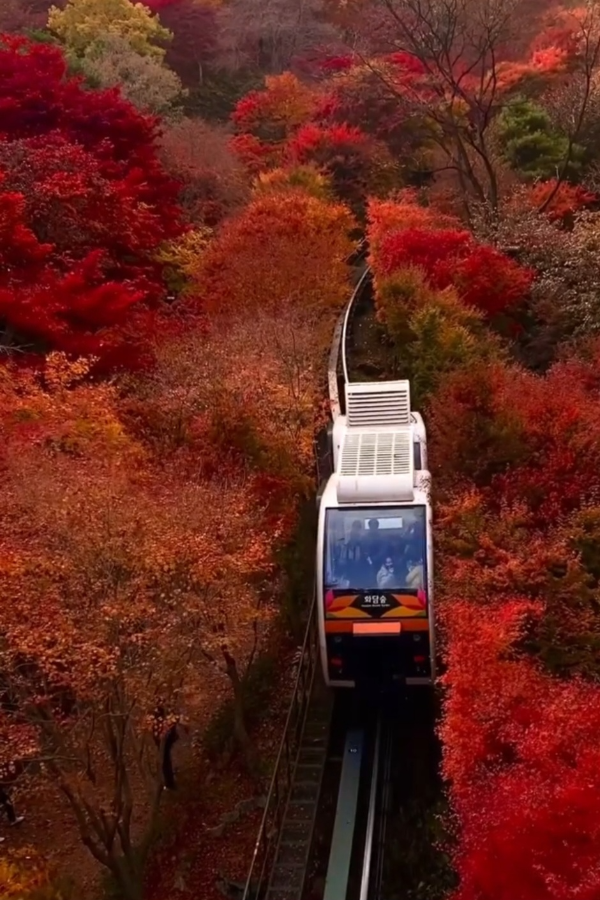 화담숲 모노레일