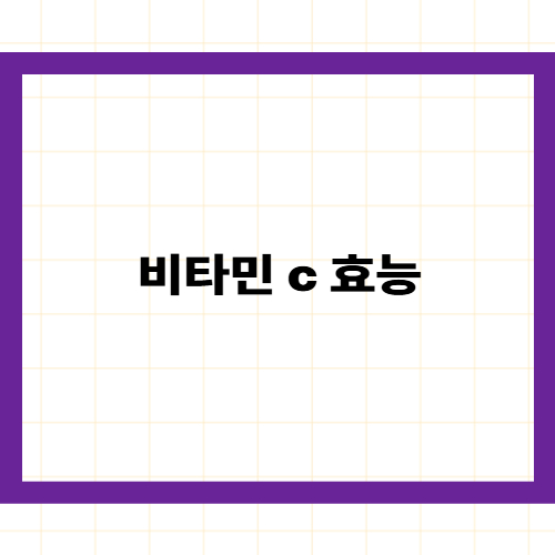 비타민 C 효능 7가지와 권장량 및 2026년 필수 섭취 가이드