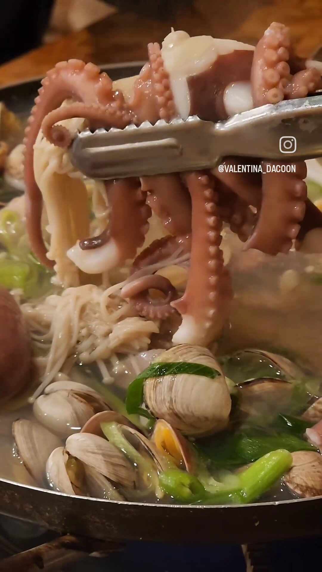비풍초