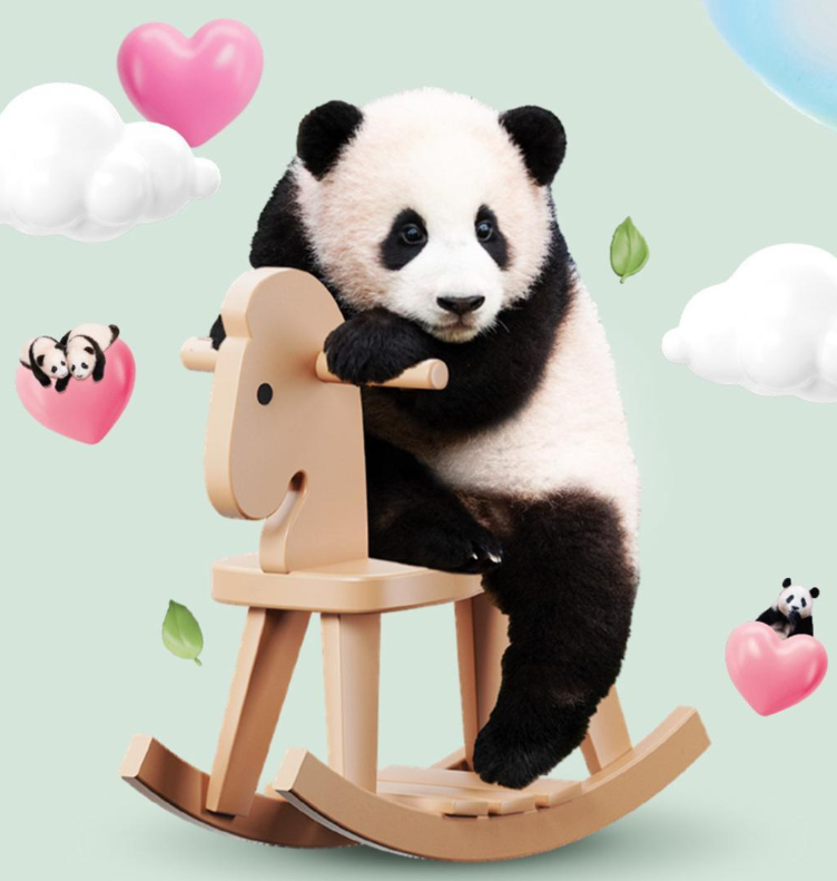 올리브영 쿠션파운데이션