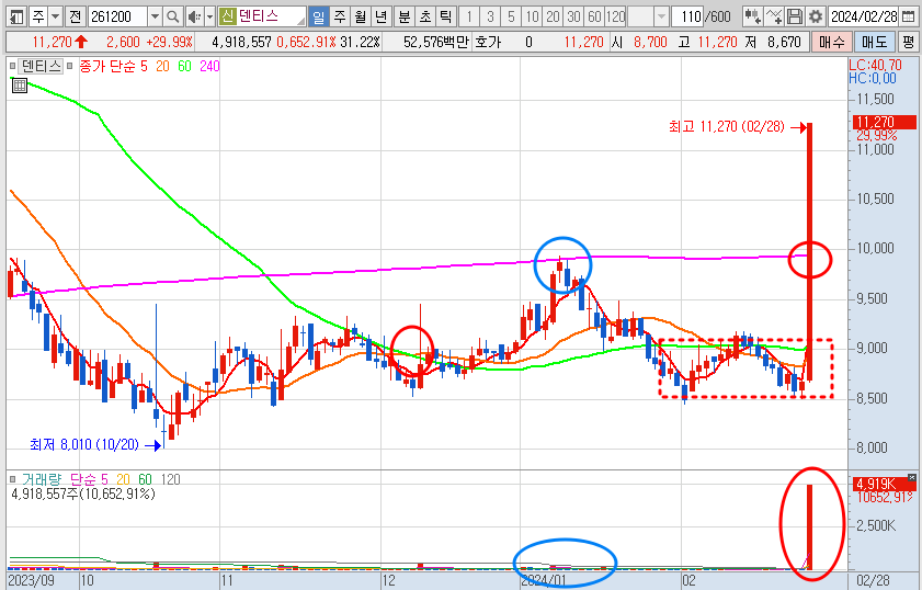 덴티스 일봉 차트 전망 분석 (24.2.28)