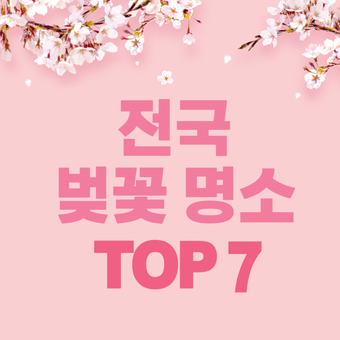 2026 전국 벚꽃 축제 일정 및 명소 TOP 7