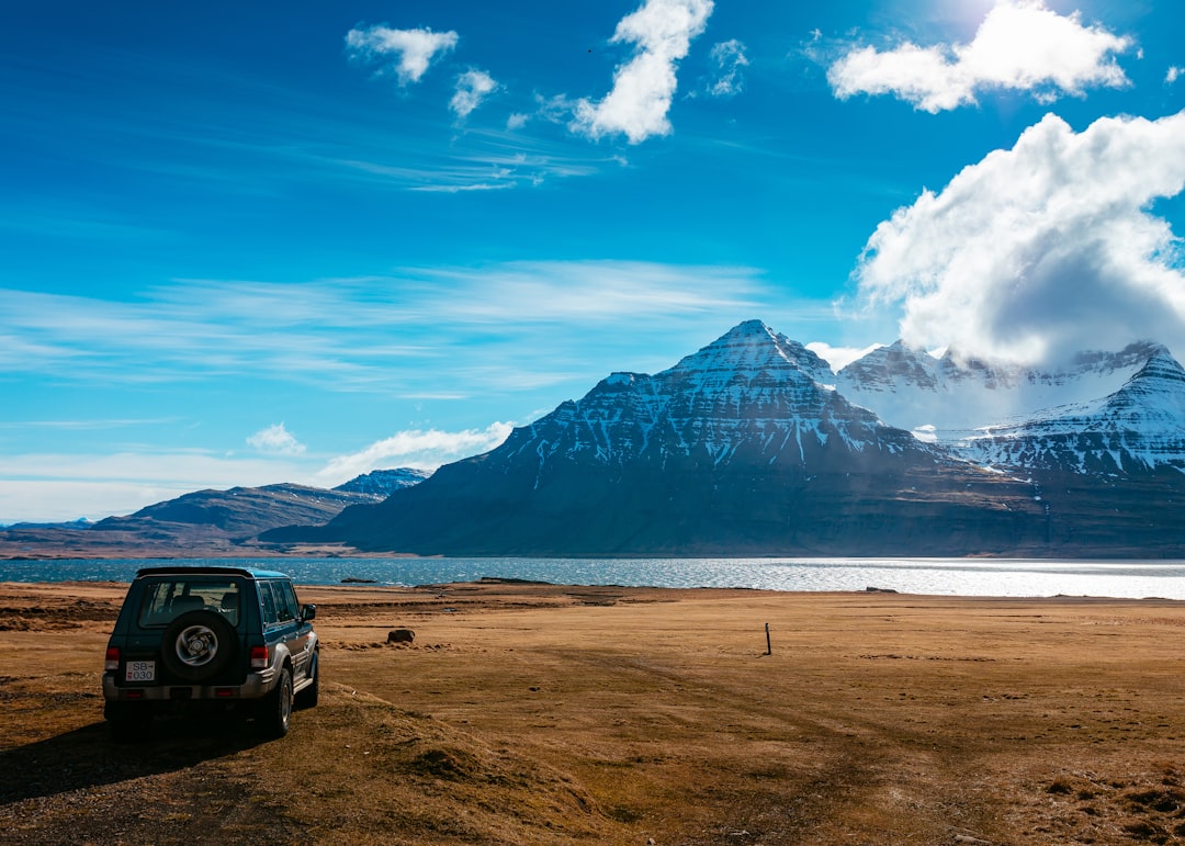 car rental
