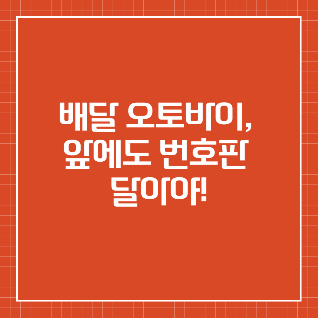 배달 오토바이, 앞에도 번호판 달아야!