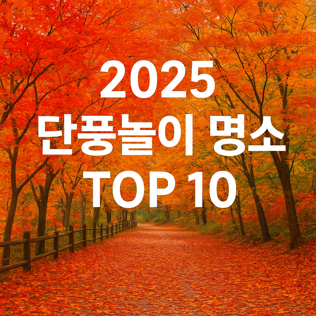 2025 단풍놀이 명소 TOP 10 – 서울 근교부터 전국 여행지까지