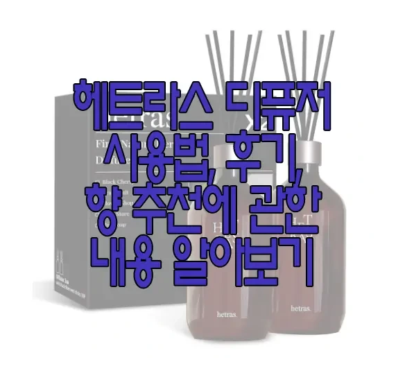 헤트라스 디퓨저에 관한 글 보러 가기 링크 사진