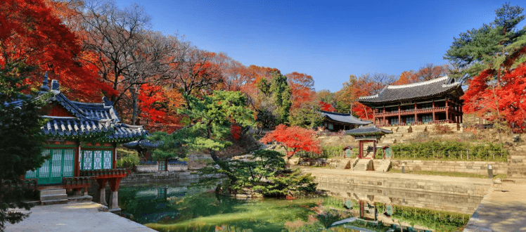 창덕궁 달빛기행 예매 입장료 [야간개장]