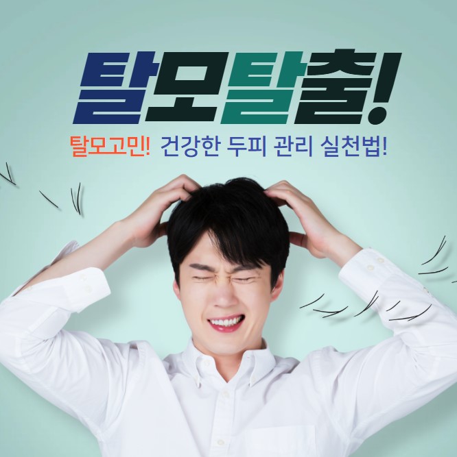 중년의 탈모 관련 사진