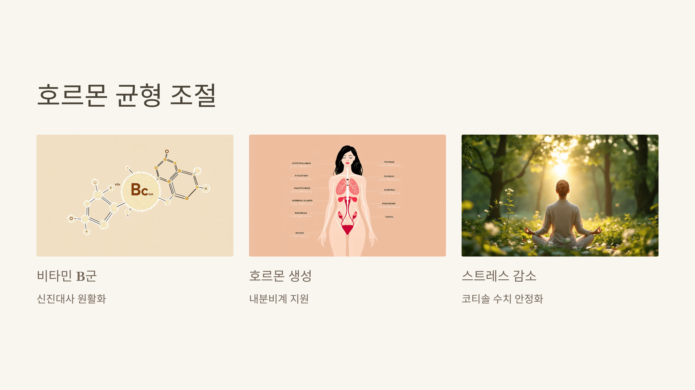 파로 곡물 사진입니다.