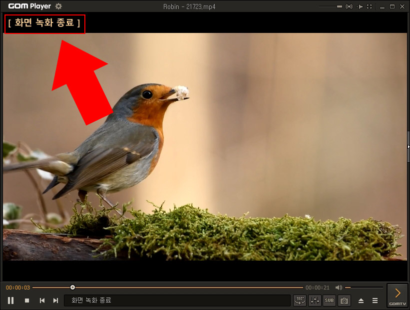 곰플레이어 화면 녹화