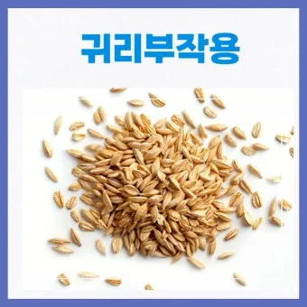 귀리 효능 부작용 밥짓기 먹는법 오트밀 차이_50