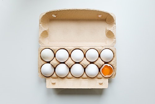 그럼, 과연 살이 빠지나?