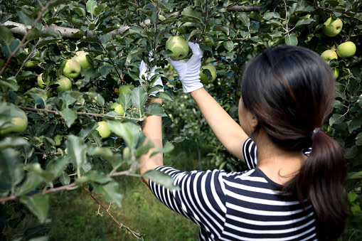 농업인_국민연금_지원